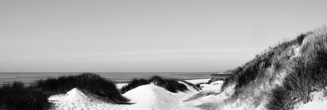 Mindfulness in de duinen